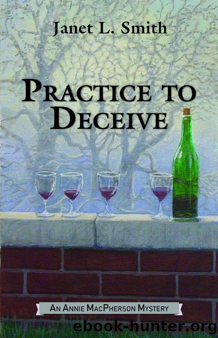 Practice to Deceive by Janet L. Smith