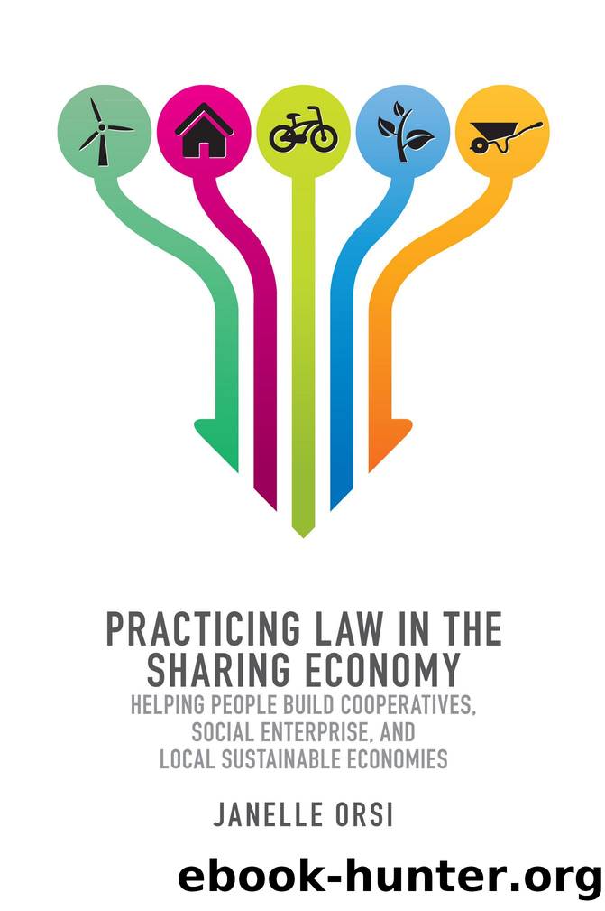 Practicing Law in the Sharing Economy: Helping People Build Cooperatives, Social Enterprise, and Local Sustainable Economies by Janelle Orsi