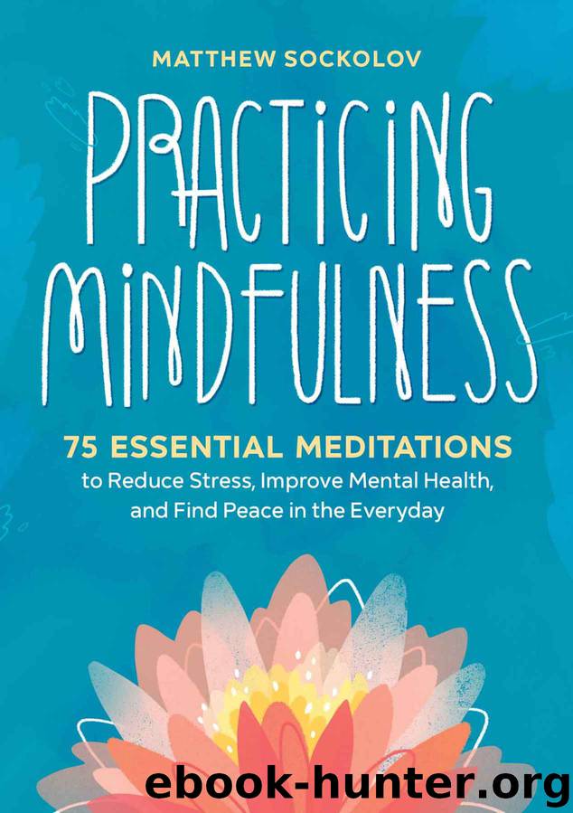 Practicing Mindfulness by Matthew Sockolov