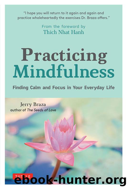 Practicing Mindfulness: Finding Calm and Focus in Your Everyday Life by Braza Jerry & Hanh Thich Nhat