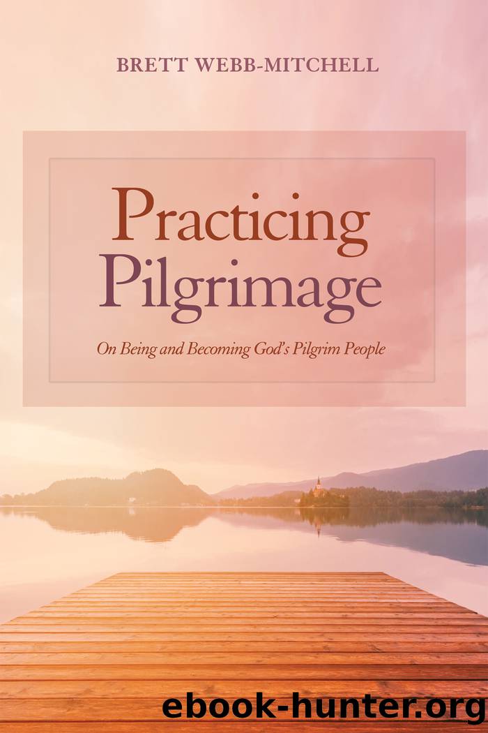 Practicing Pilgrimage by Webb-Mitchell Brett;