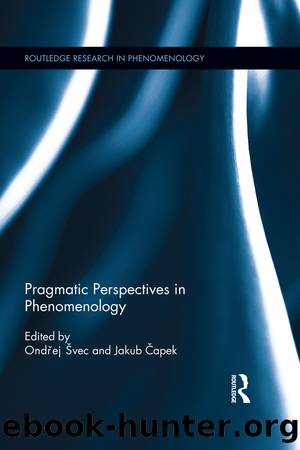 Pragmatic Perspectives in Phenomenology by Ondrej Svec Jakub Capek