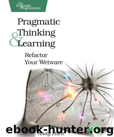 Pragmatic Thinking & Learning by Andy Hunt