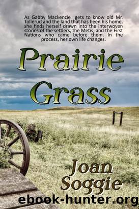 Prairie Grass by Joan Soggie
