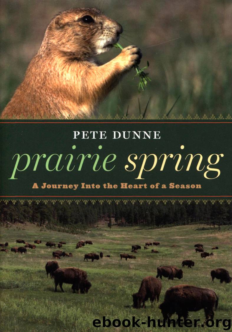 Prairie Spring by Pete Dunne