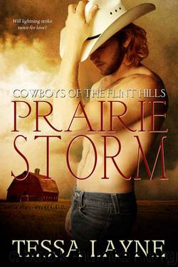 Prairie Storm (Cowboys of The Flint Hills #4) by Tessa Layne