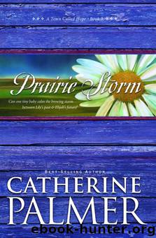 Prairie Storm by Catherine Palmer