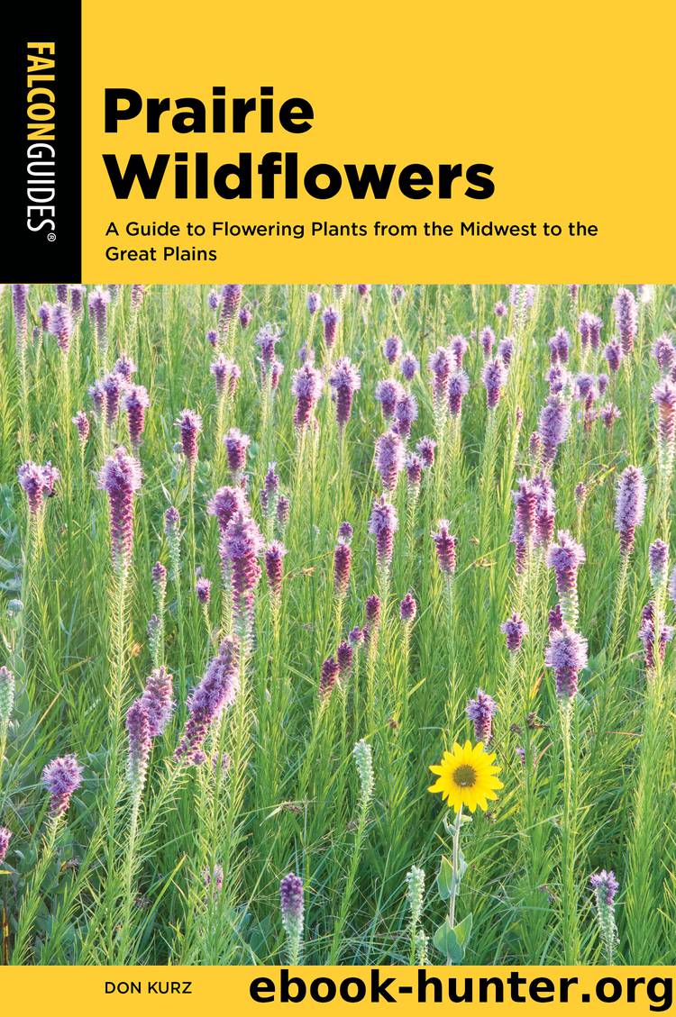 Arkansas Wildflowers by Don Kurz