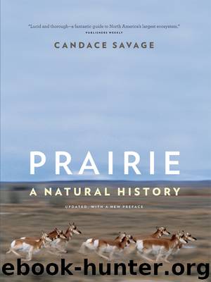 Prairie by Candace Savage