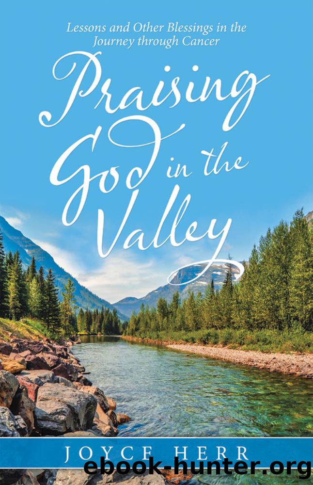 Praising God in the Valley by Joyce Herr