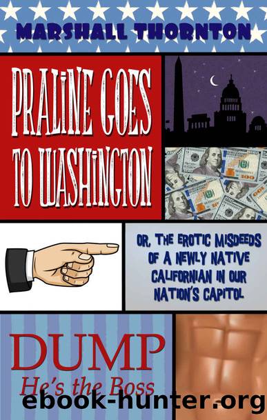 Praline Goes To Washington: Or, the Erotic Misdeeds of a Newly Native Californian in Our Nation's Capitol (The Perils of Praline Book 2) by Marshall Thornton