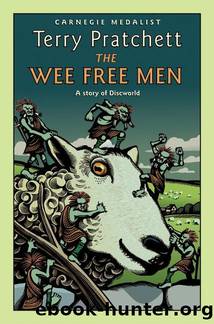 Pratchett, Terry - Discworld 30 - The Wee Free Men by Pratchett Terry