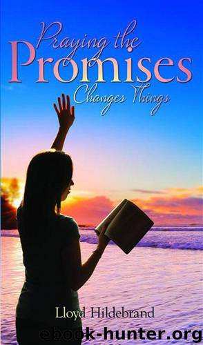 Praying the Promises Changes Things by Hildebrand Lloyd