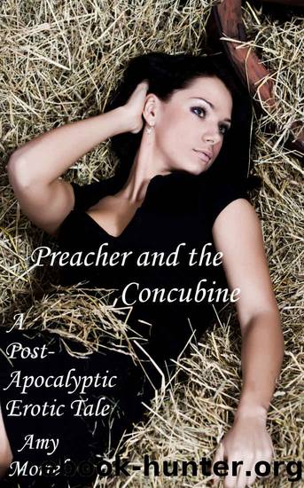 Preacher and the Concubine - A Post-Apocalyptic Erotic Tale by Amy Morrel