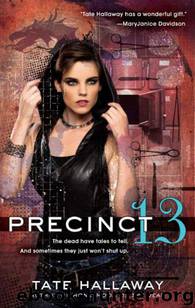 Precinct 13 by Tate Hallaway