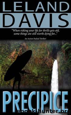 Precipice by Leland Davis