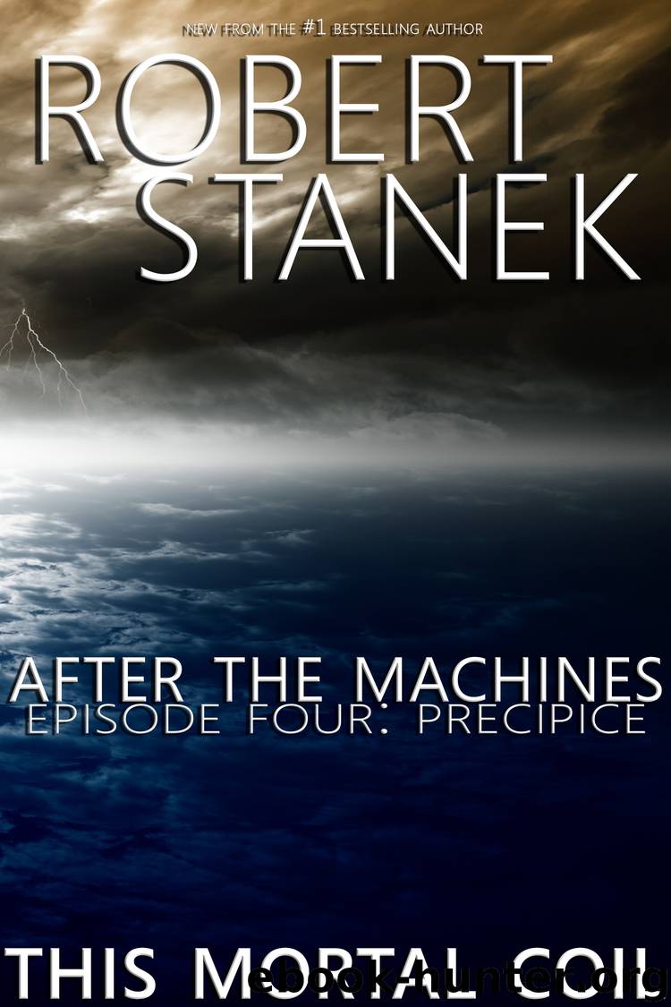 Precipice by Robert Stanek