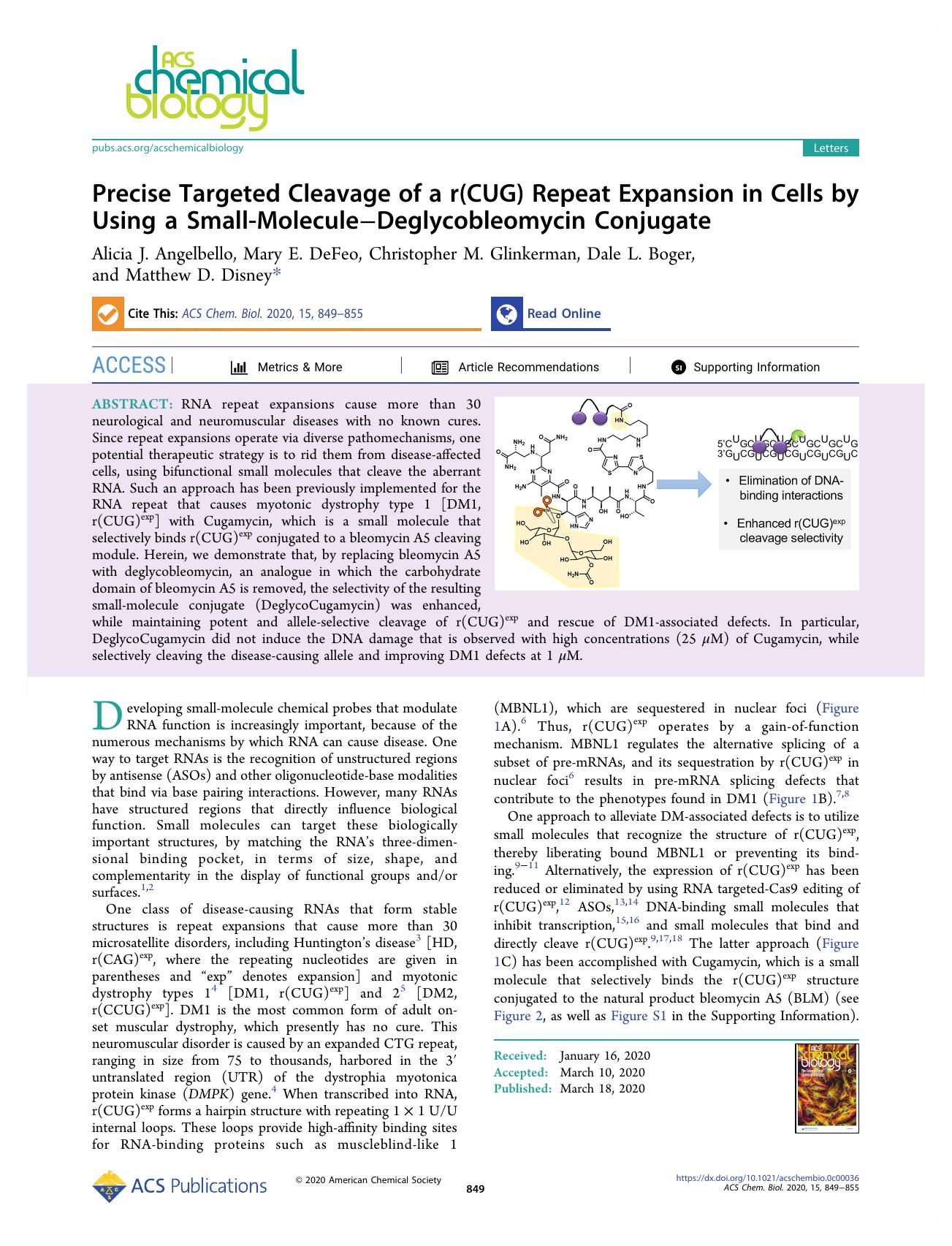 Precise Targeted Cleavage of a r(CUG) Repeat Expansion in Cells by Using a Small-MoleculeâDeglycobleomycin Conjugate by Alicia J. Angelbello Mary E. DeFeo Christopher M. Glinkerman Dale L. Boger and Matthew D. Disney