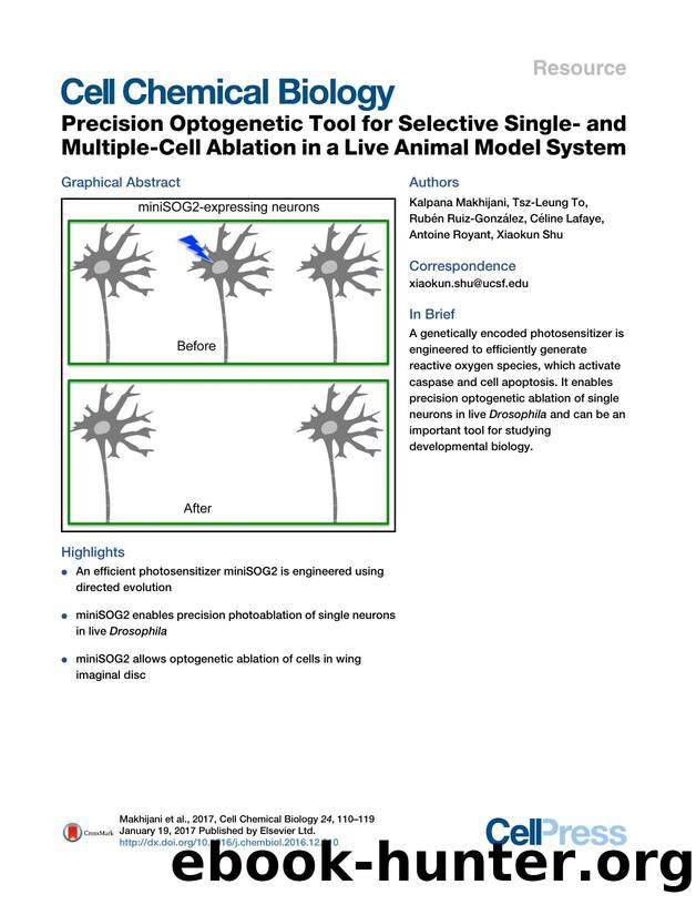 Precision Optogenetic Tool for Selective Single- and Multiple-Cell Ablation in a Live Animal Model System by unknow