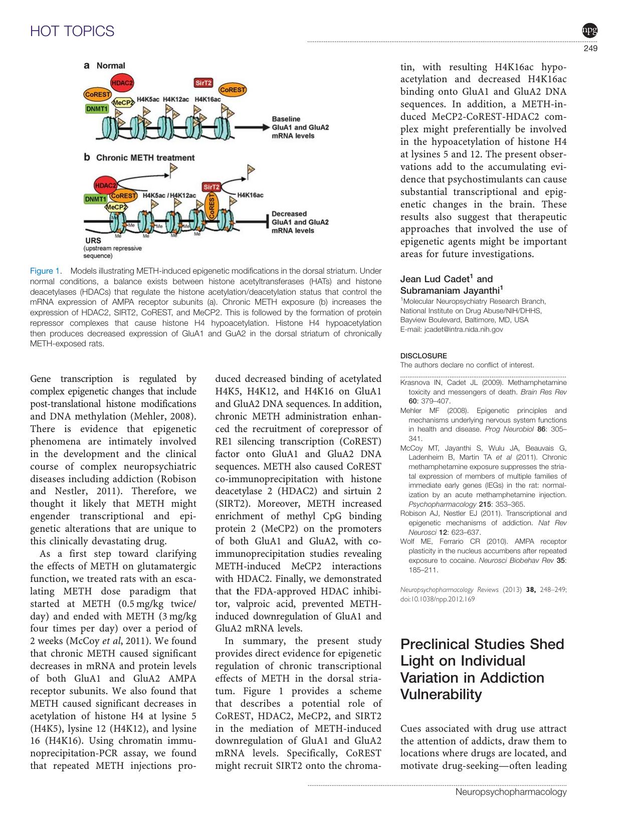 Preclinical Studies Shed Light on Individual Variation in Addiction Vulnerability by Benjamin T Saunders & Lindsay M Yager & Terry E Robinson
