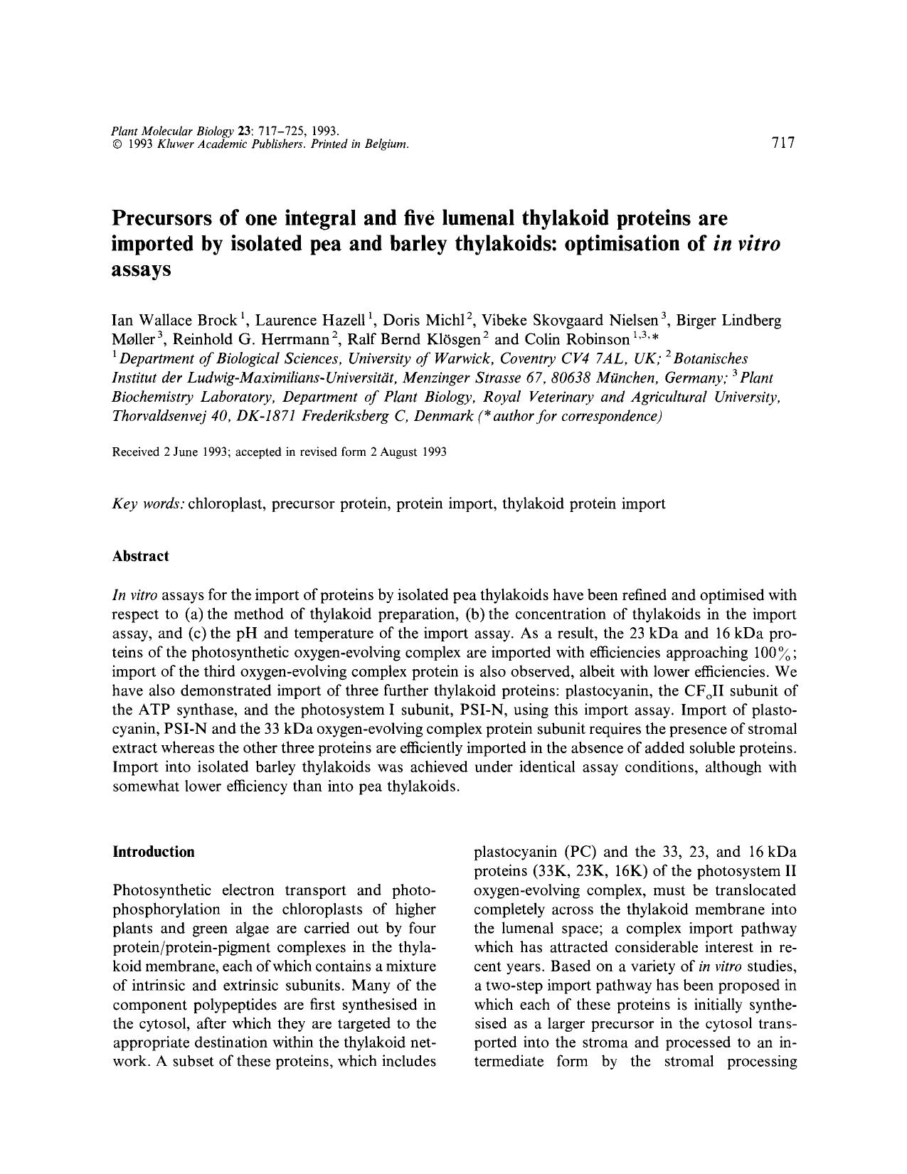 Precursors of one integral and five lumenal thylakoid proteins are imported by isolated pea and barley thylakoids: optimisation of <Emphasis Type="Italic">in vitro<Emphasis> assays by Unknown