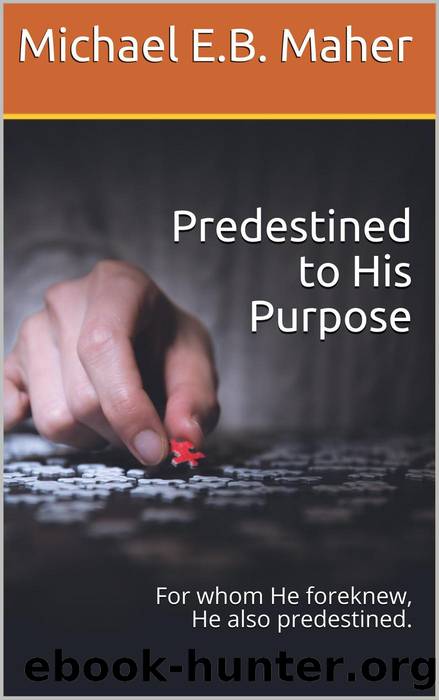 Predestined to His Purpose by Michael E.B. Maher