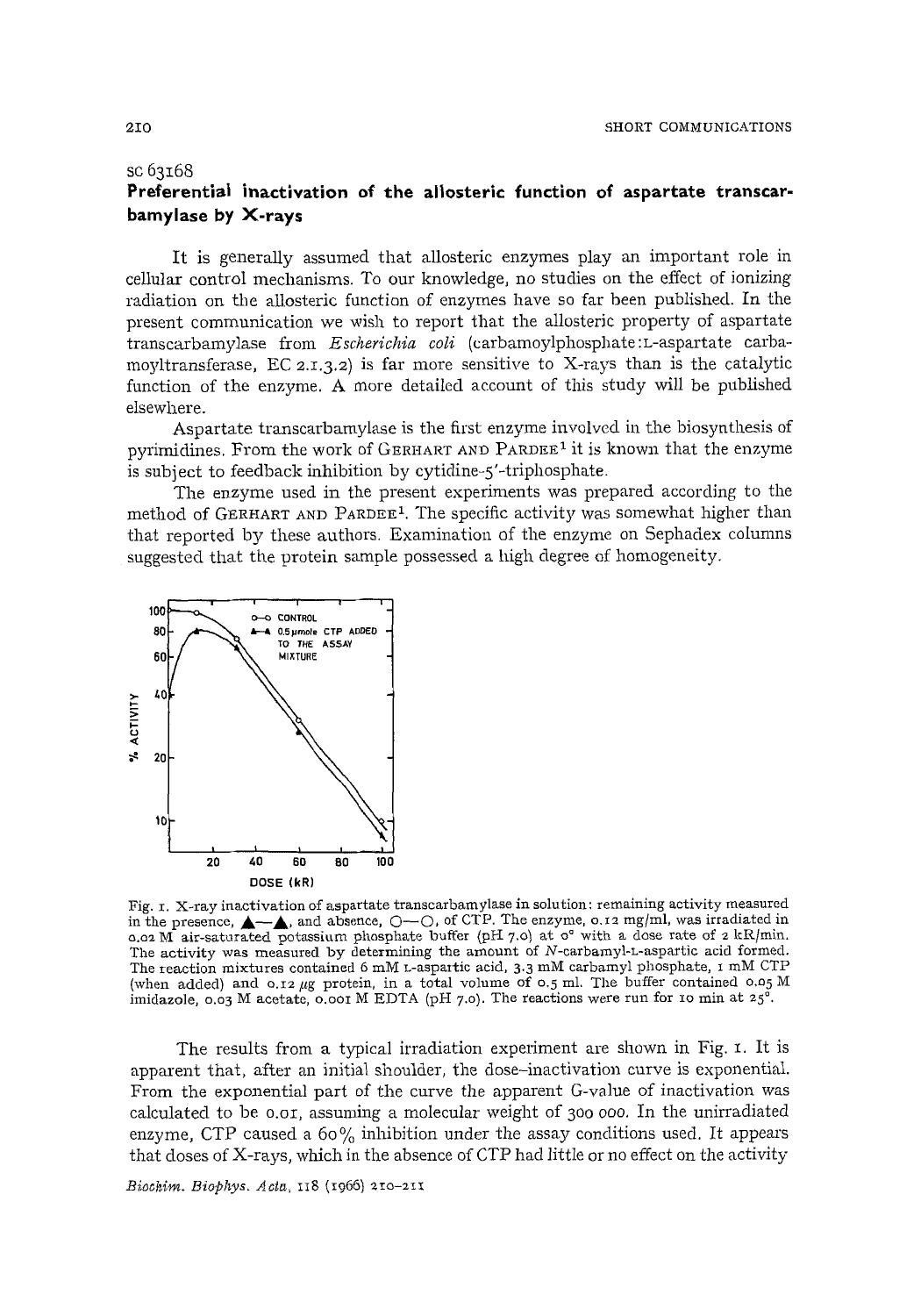 Preferential inactivation of the allosteric function of aspartate transcarbamylase by X-rays by Kjell Kleppe; Tore Sanner; Alexander Pihl