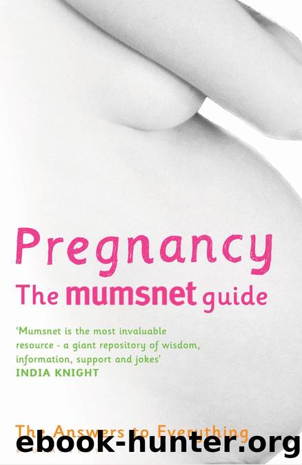 Pregnancy by Mumsnet