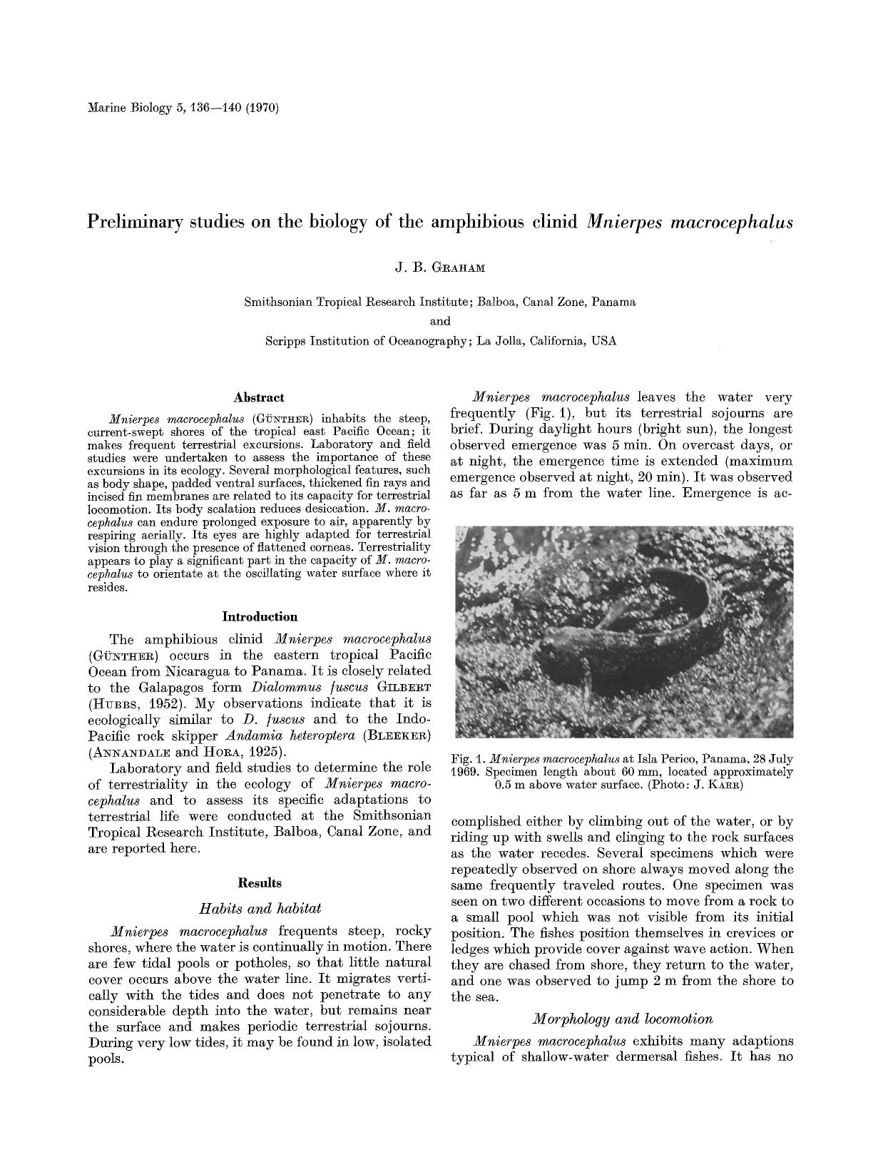 Preliminary studies on the biology of the amphibious clinid <Emphasis Type="Italic">Mnierpes macrocephalus<Emphasis> by Unknown