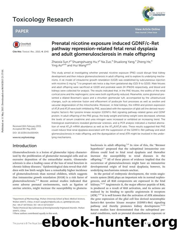 Prenatal nicotine exposure induced GDNFc-Ret pathway repression-related fetal renal dysplasia and adult glomerulosclerosis in male offspring by Zhaoxia Sun Shuangshuang Hu Na Zuo Shuailong Yang Zheng He Ying Ao Hui Wang