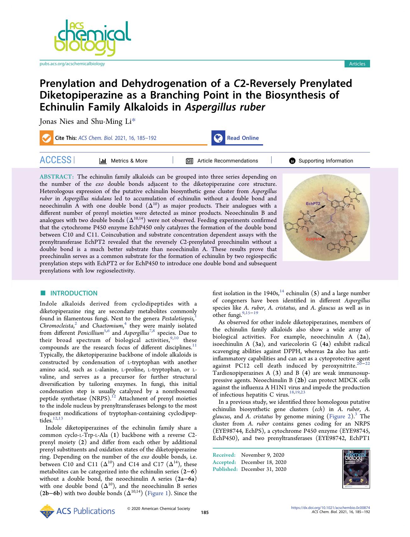 Prenylation and Dehydrogenation of a C2-Reversely Prenylated Diketopiperazine as a Branching Point in the Biosynthesis of Echinulin Family Alkaloids in Aspergillus ruber by Jonas Nies and Shu-Ming Li
