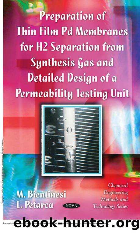 Preparation of Thin Film Pd Membranes for H2 Separation From Synthesis Gas and Detailed Design of a Permeability Testing Unit by M. Bientinesi; L. Petarca