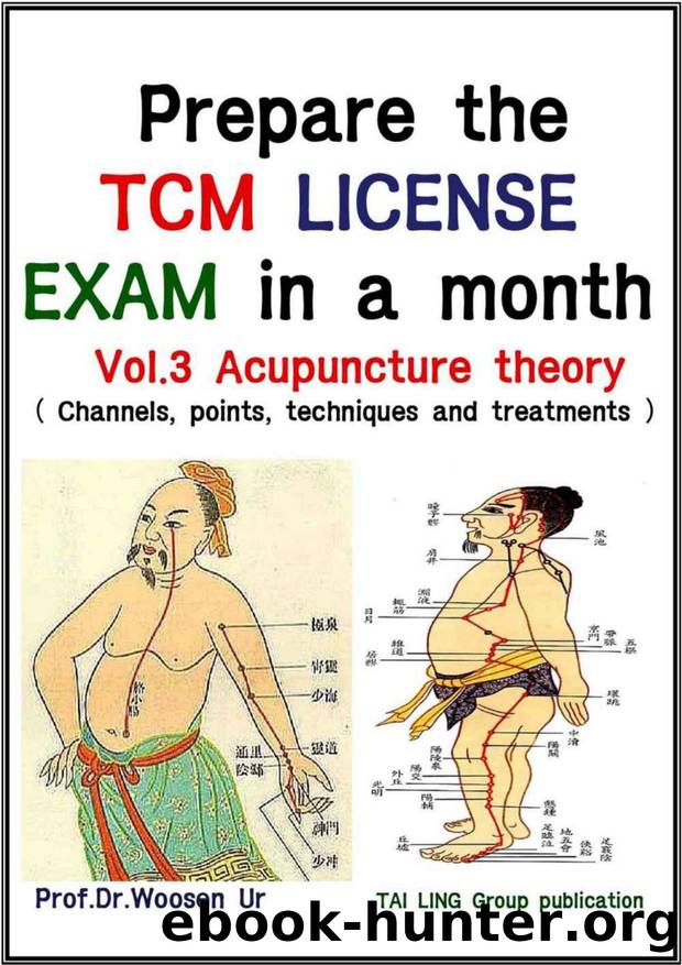 Prepare the TCM License exam in a month Vol. 3: Acupuncture theory - channels, points, techniques and treatments(California, NCCAOM, Canadian exam) by Woosen Ur