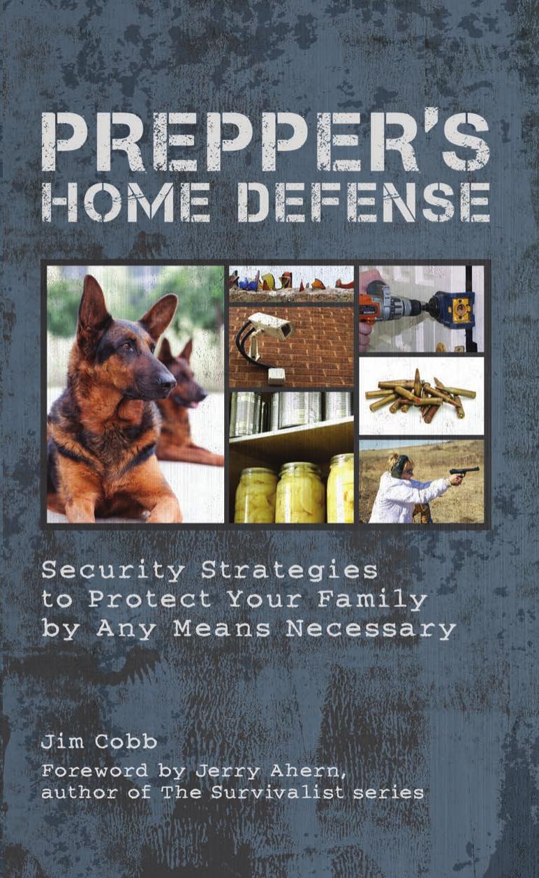Prepper's home defense : security strategies to protect your family by any means necessary by Cobb Jim
