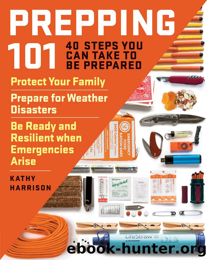 Prepping 101 by Kathy Harrison