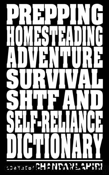 Prepping, Homesteading, Adventure, Survival, SHTF and Self-reliance Dictionary by Lahiri Chandan