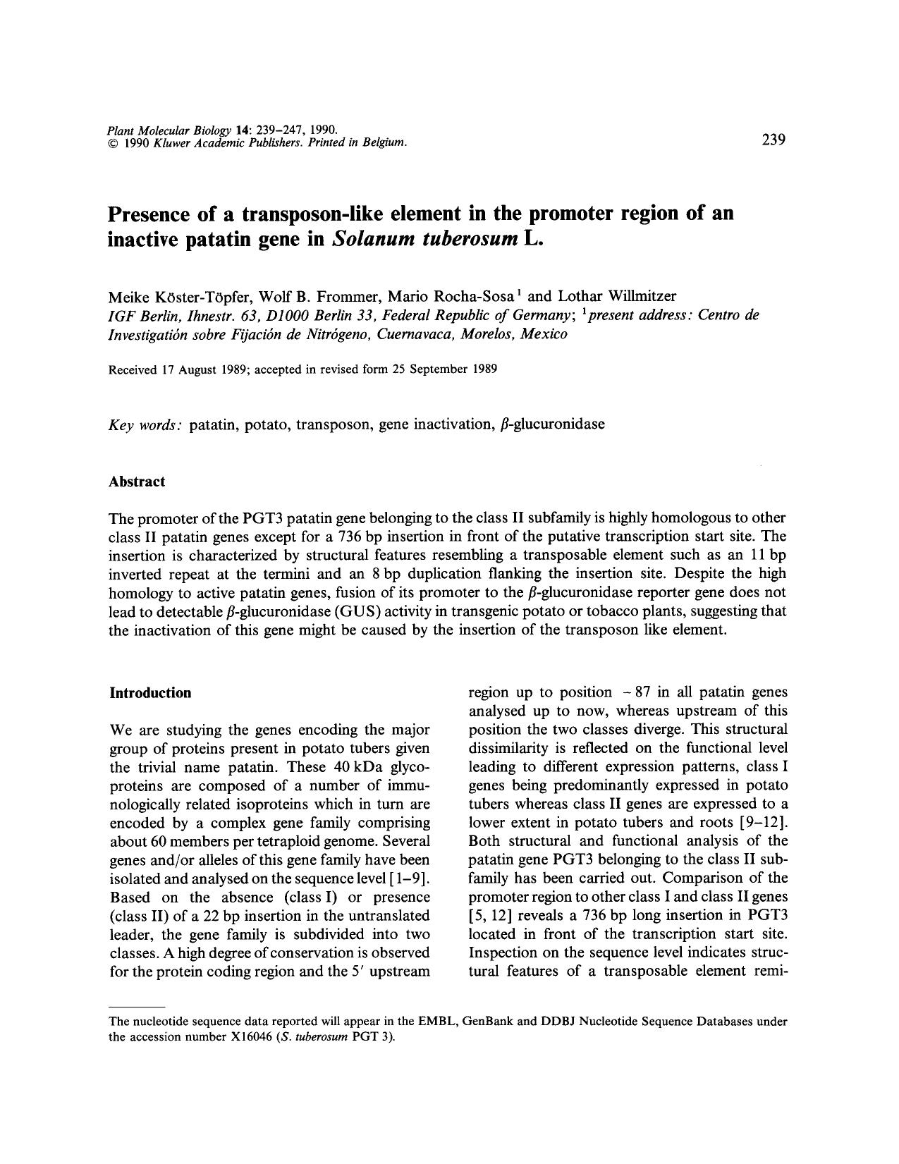 Presence of a transposon-like element in the promoter region of an inactive patatin gene in <Emphasis Type="Italic">Solanum tuberosum <Emphasis> L. by Unknown