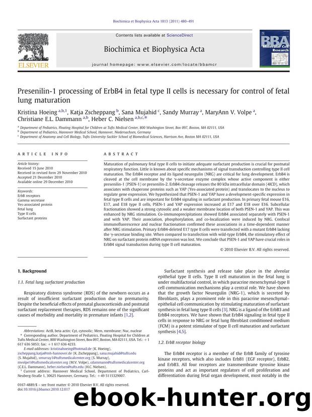 Presenilin-1 processing of ErbB4 in fetal type II cells is necessary for control of fetal lung maturation by unknow