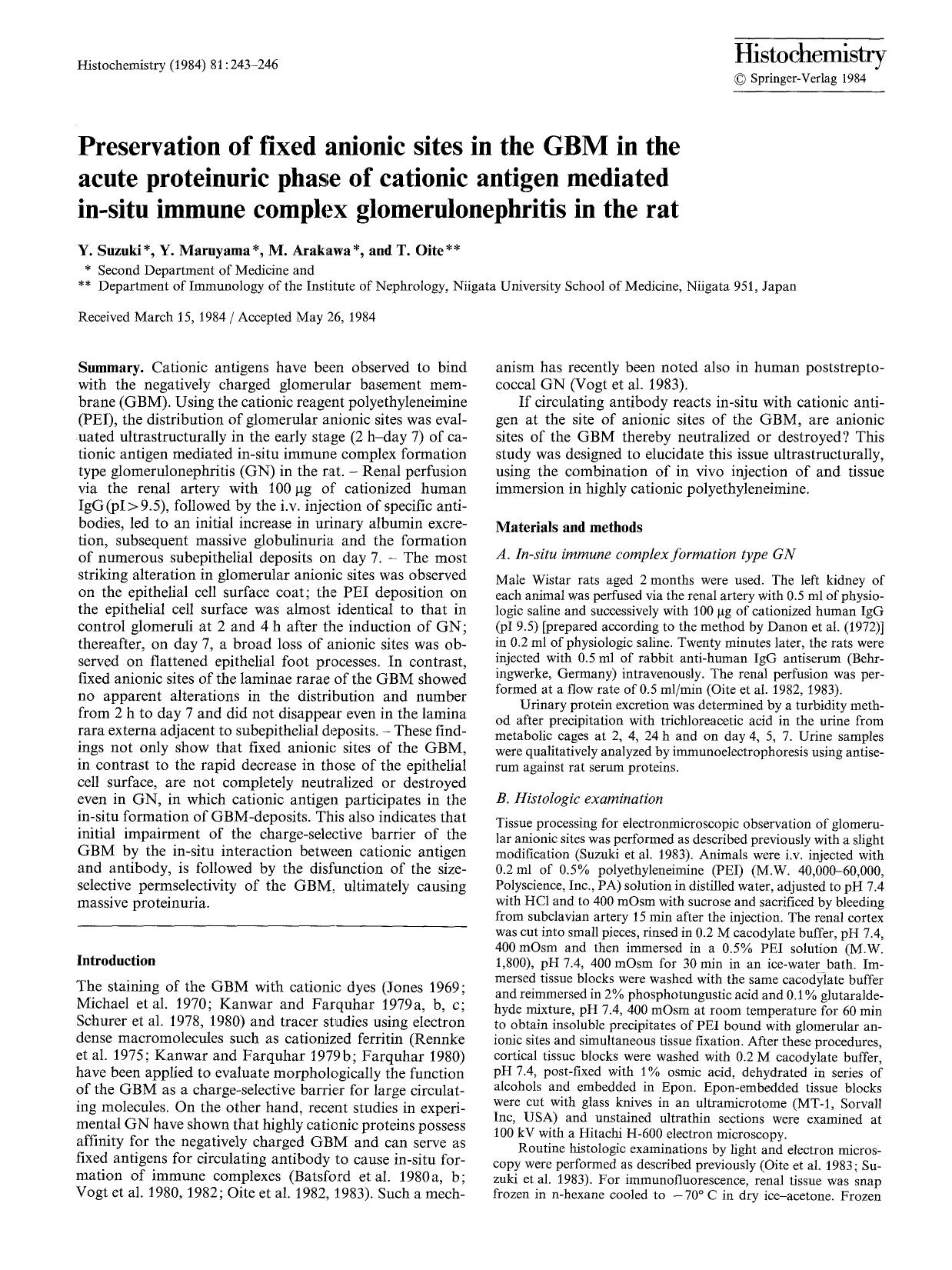 Preservation of fixed anionic sites in the GBM in the acute proteinuric phase of cationic antigen mediated in-situ immune complex glomerulonephritis in the rat by Unknown
