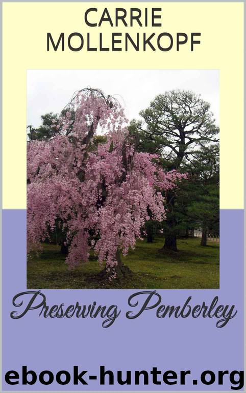 Preserving Pemberley by Carrie Mollenkopf