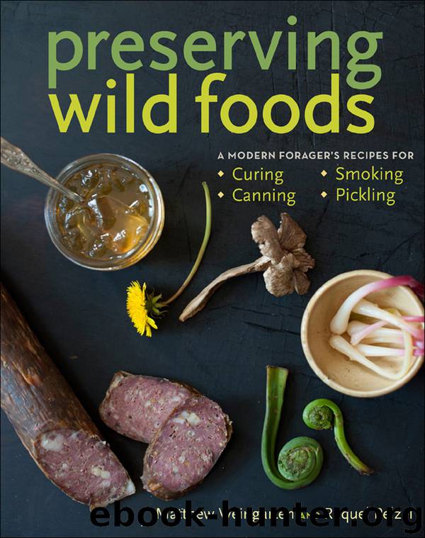 Preserving Wild Foods by Raquel Pelzel & Raquel Pelzel