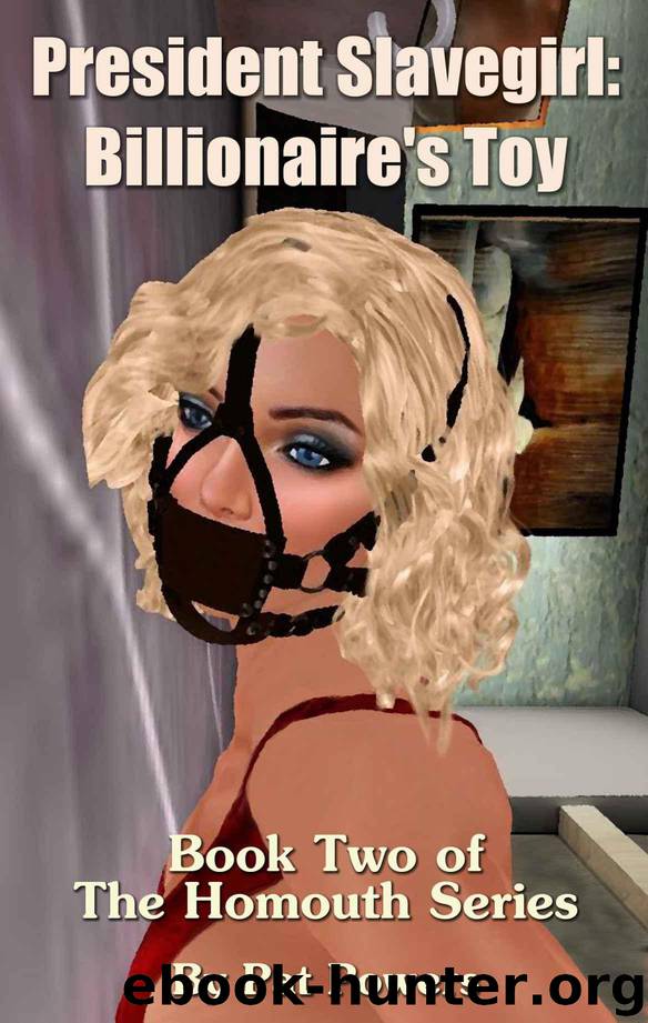 President Slavegirl: Billionaire's Toy: Book Two of The Homouth Series by Powers Pat