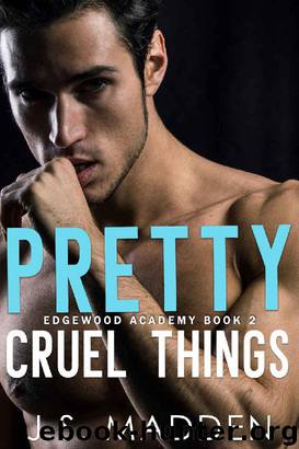Pretty Cruel Things: A High School Bully Romance (Edgewood Academy Book 2) by J.S. Madden