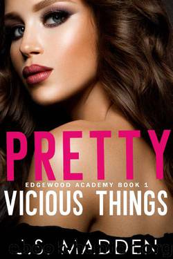 Pretty Vicious Things: A High School Bully Romance (Edgewood Academy Book 1) by J.S. Madden