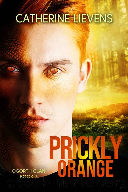 Prickly Orange by Catherine Lievens