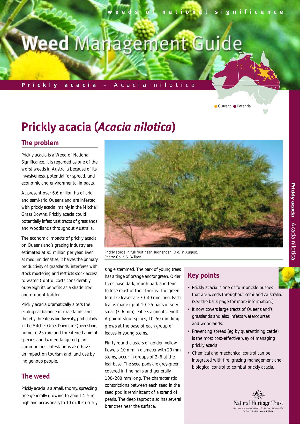 Prickly acacia (Acacia nilotica) - Weed Management Guide - Weeds of National Significance by CRC for Australian Weed Management & Department of the Environment & Heritage