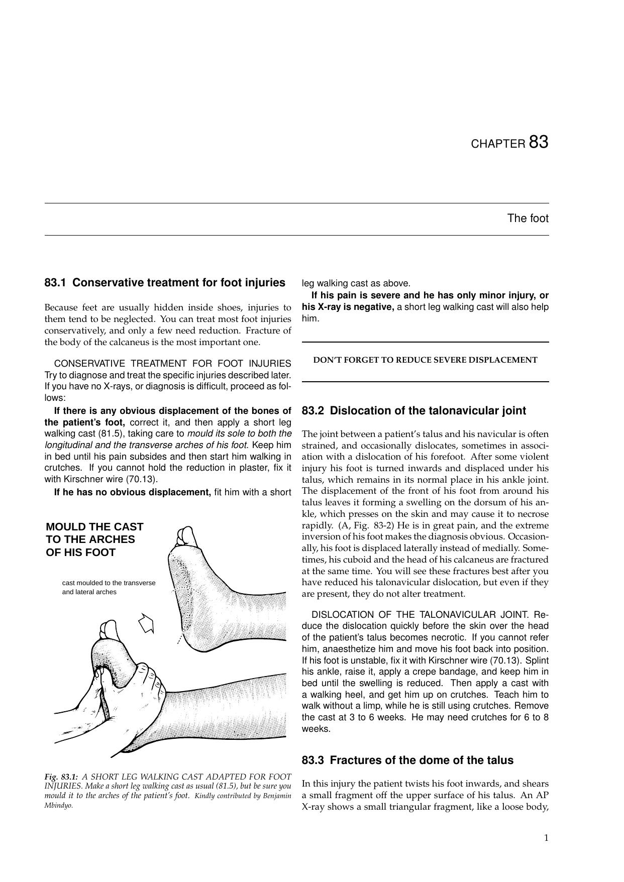 Primary Surgery, Chapter 83 - The foot by Thomas Egglseder