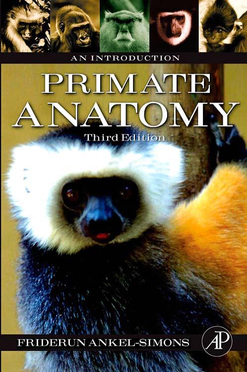 Primate anatomy : an introduction by Ankel-Simons Friderun