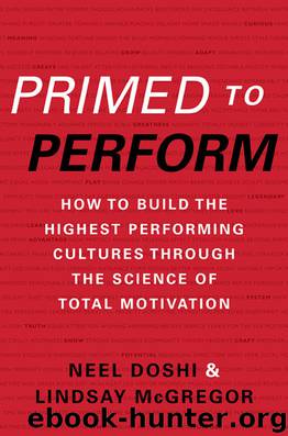 Primed to Perform: How to Build the Highest Performing Cultures Through the Science of Total Motivation by Neel Doshi & Lindsay McGregor