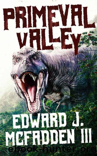 Primeval Valley by Edward J. McFadden III
